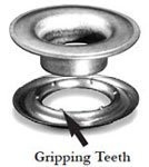 Gripping Teeth Washers